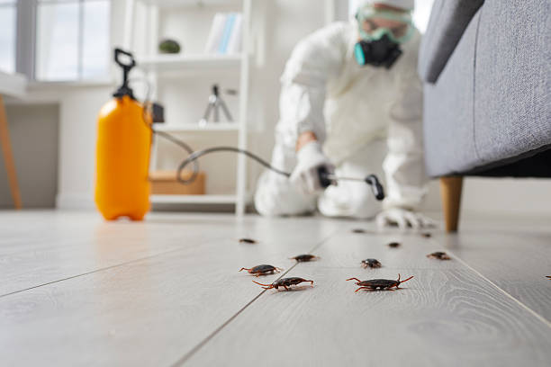 Post-Treatment Bed Bug Interceptor Monitoring in Greentown